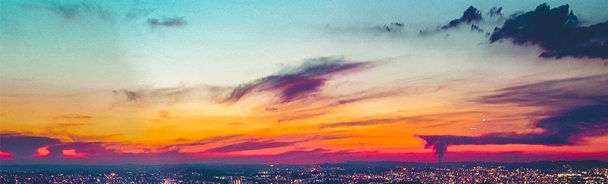 延安茶虫网_延安品茶